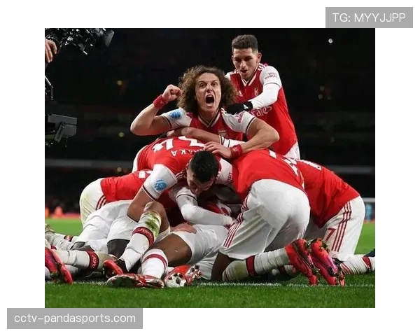 足球泄密文件曝出新料，涉及数家英超俱乐部球员第三方所有权历史问题